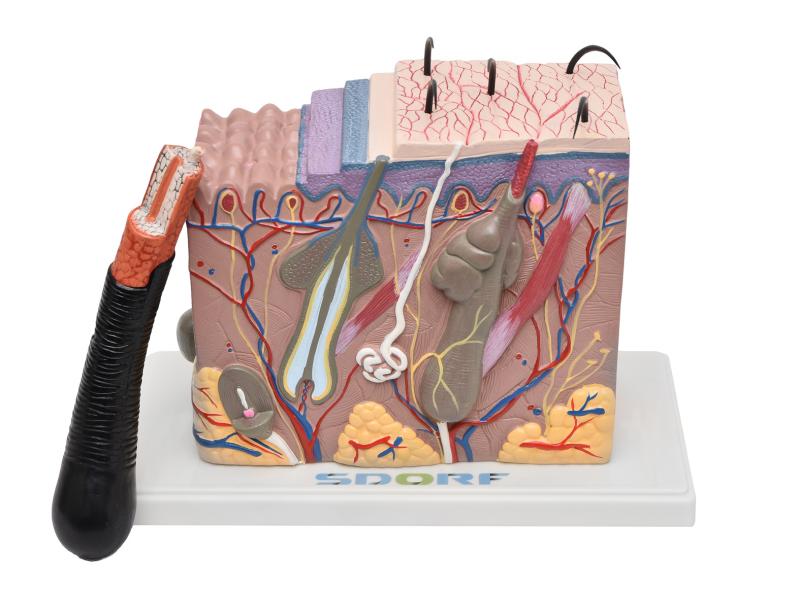 CORTE DE PELE EM BLOCO