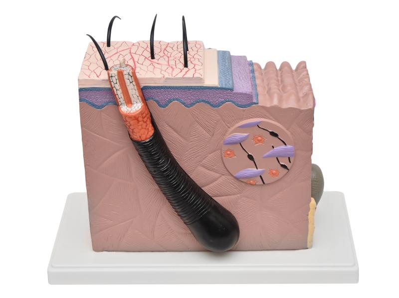 CORTE DE PELE EM BLOCO