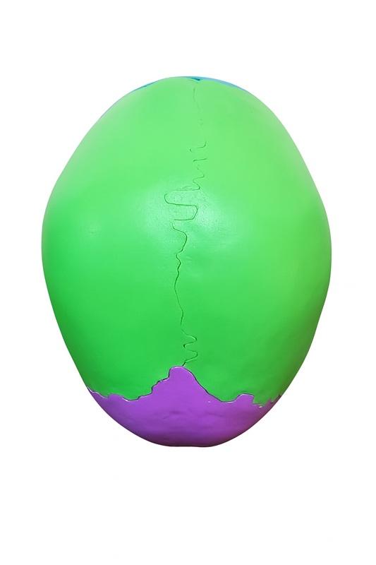 CRÂNIO HUMANO ADULTO COLORIDO EM 22 PARTES (EXPLODIDO)